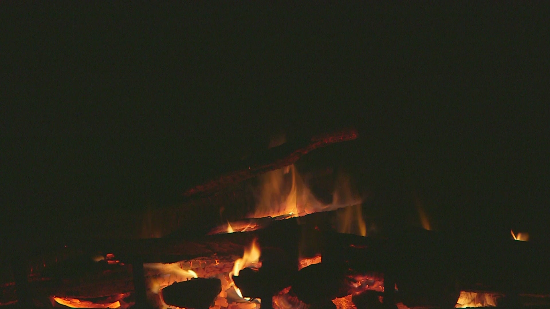 Mixed Wood Fireplace with Fire Sounds