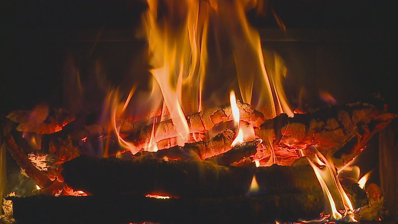 Forest Cabin Fireplace with Fire Sounds
